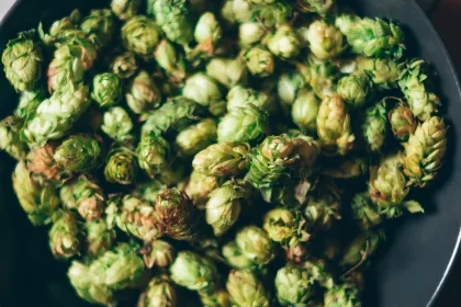 Bath&Barley_hops_details_above